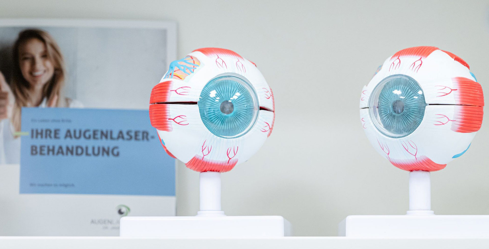Dieses Bild zeigt zwei Modelle des menschlichen Auges - Augenlasern Wien, Dr. Atamniy